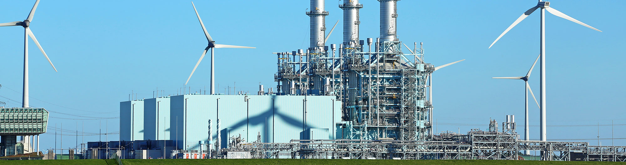 ees_header_2020.jpg